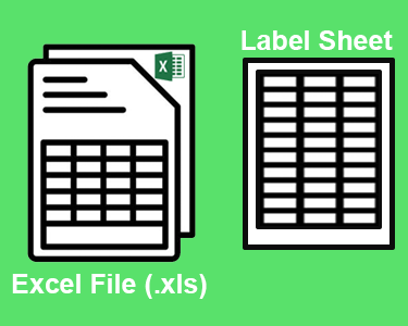 excel form